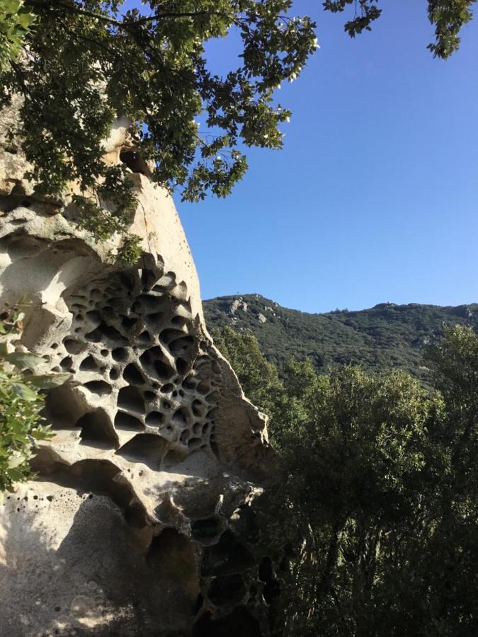 La Casa Di Sara Διαμέρισμα Νουόρο Εξωτερικό φωτογραφία