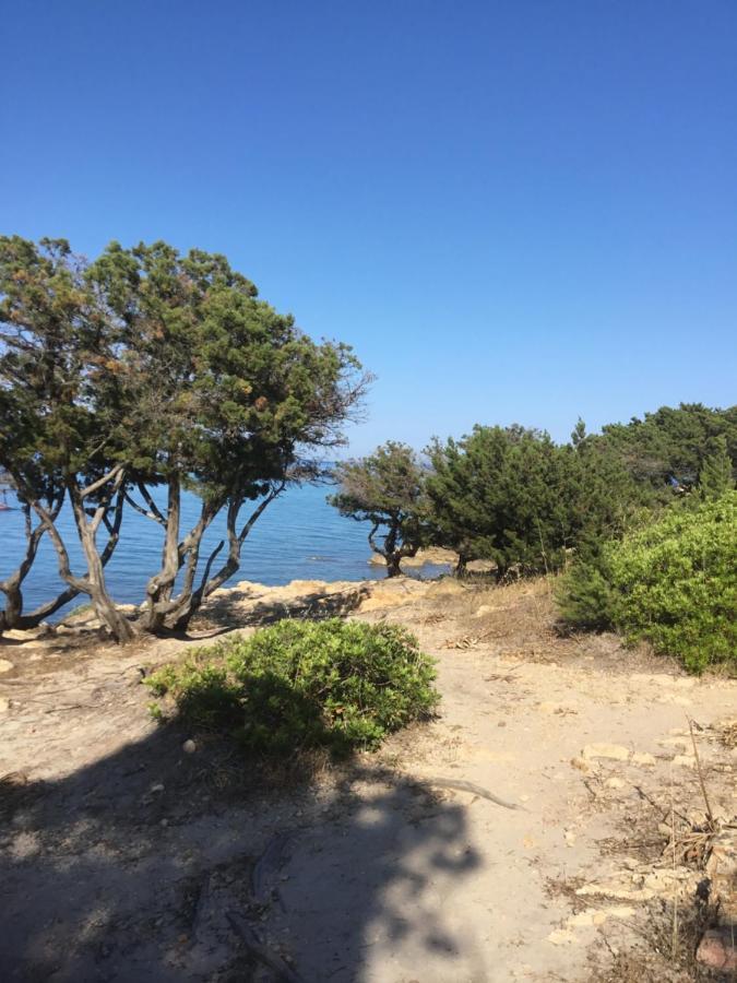 La Casa Di Sara Διαμέρισμα Νουόρο Εξωτερικό φωτογραφία